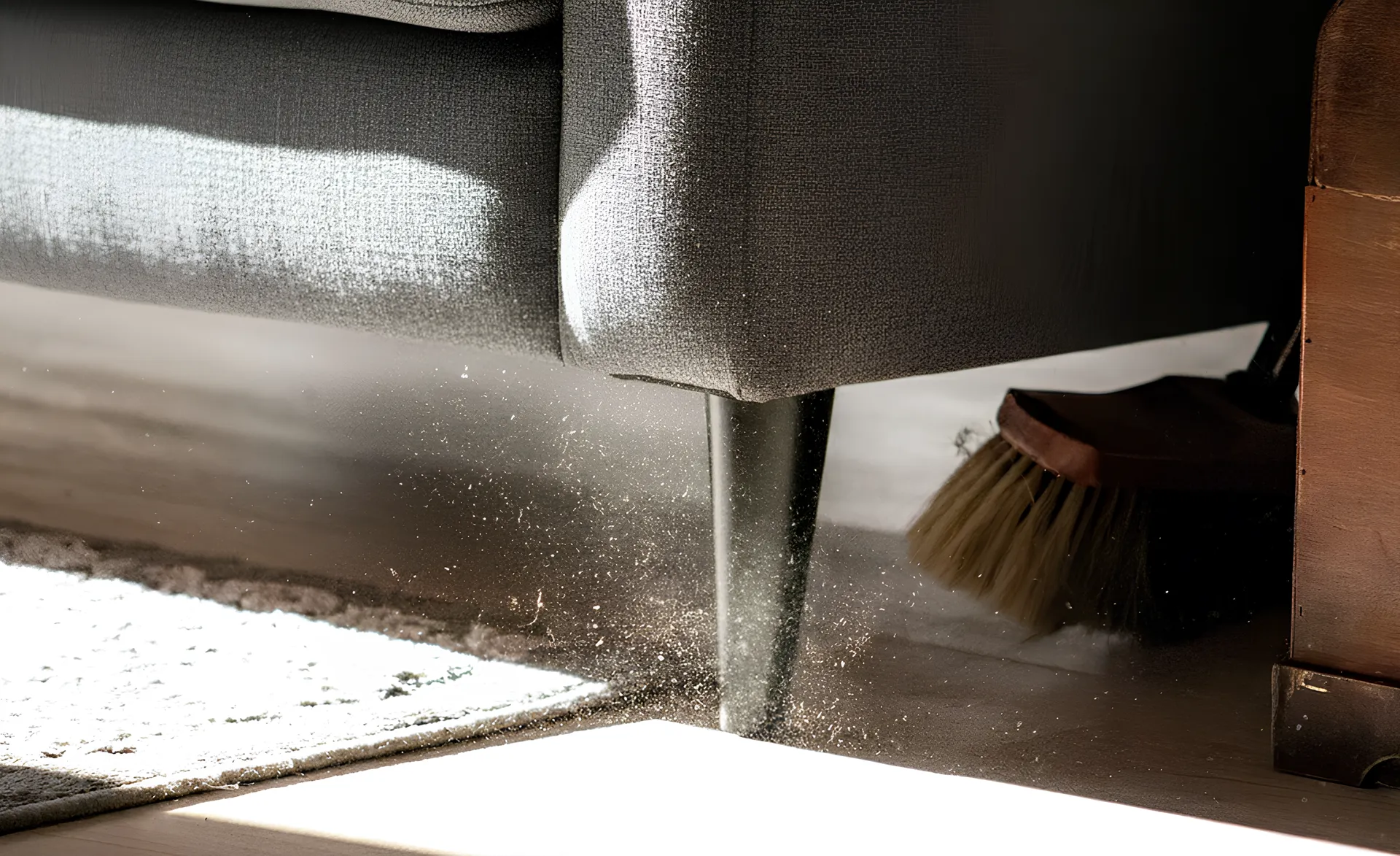 letus_clean_area